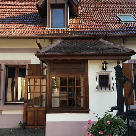 Au Pied Du Haut-koenigsbourg Lägenhet Kintzheim