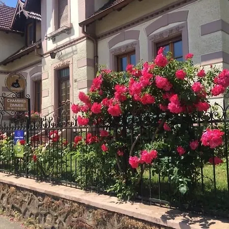 Au Pied Du Haut-koenigsbourg *